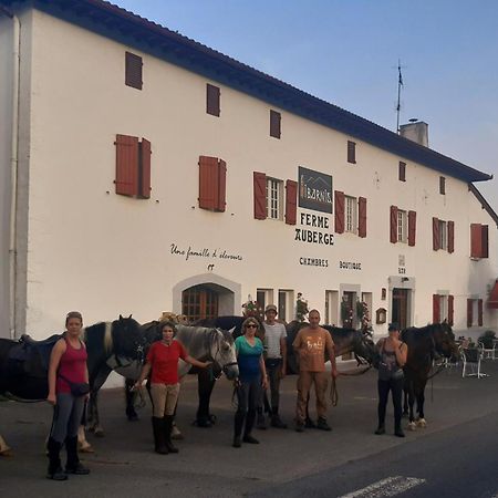 Ferme Auberge Ibarnia Lecumberry Zewnętrze zdjęcie